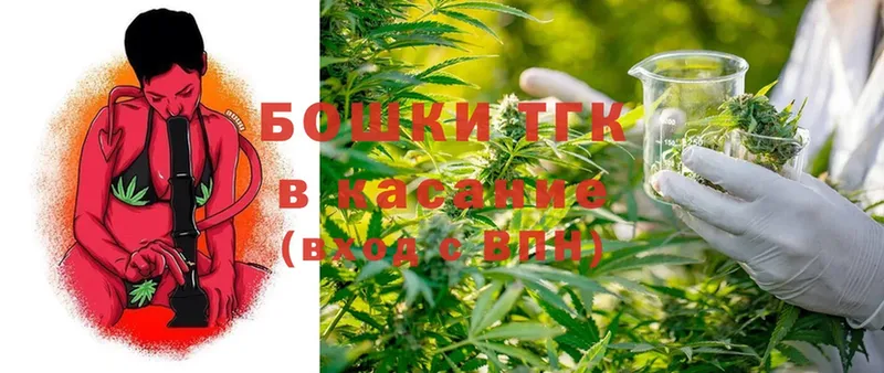 Каннабис OG Kush  Каневская 